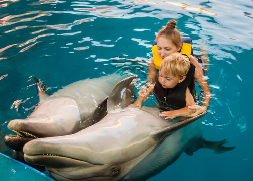 Terapia de niños con delfines