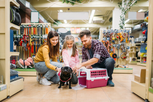 5 preguntas que debes hacerte antes de adoptar un perro