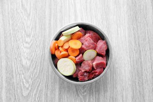 Carne y verdura en el plato del perro