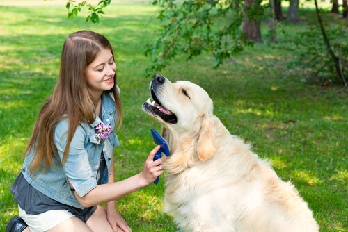 Mujer peina a su perro