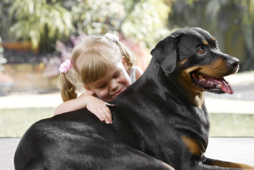 Niña y rottweiler