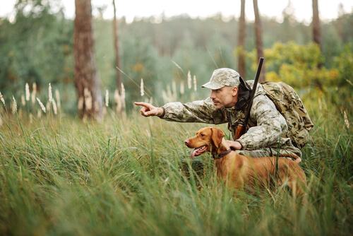 La responsabilidad en los cotos de caza es de los propietarios