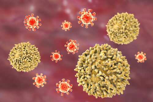 Virus y linfocitos