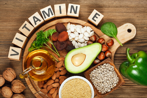 La vitamina E es uno de los antioxidantes en la comida para perros