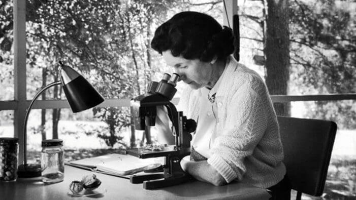 Rachel Carson, la bióloga marina.