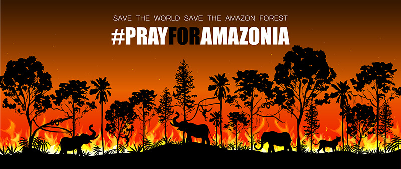 Campaña para salvar el Amazonas
