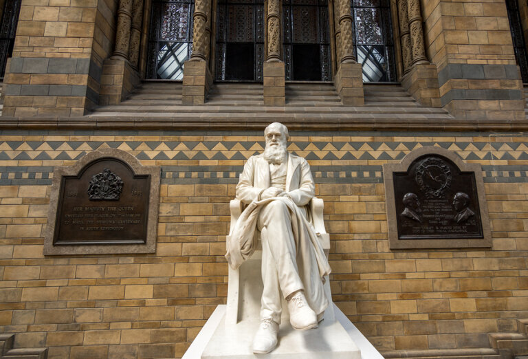Charles Darwin y el mundo: una relación trascendental