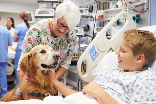 Golden retriever y niño