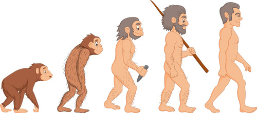 Mono humano desnudo