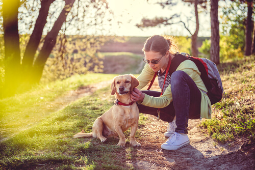 Mujer con perro en el campo