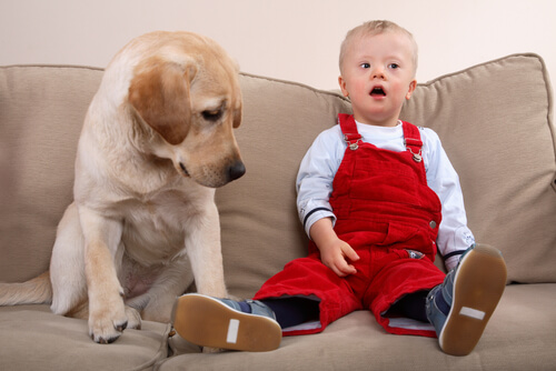Niño con síndrome de Down al lado de su perro
