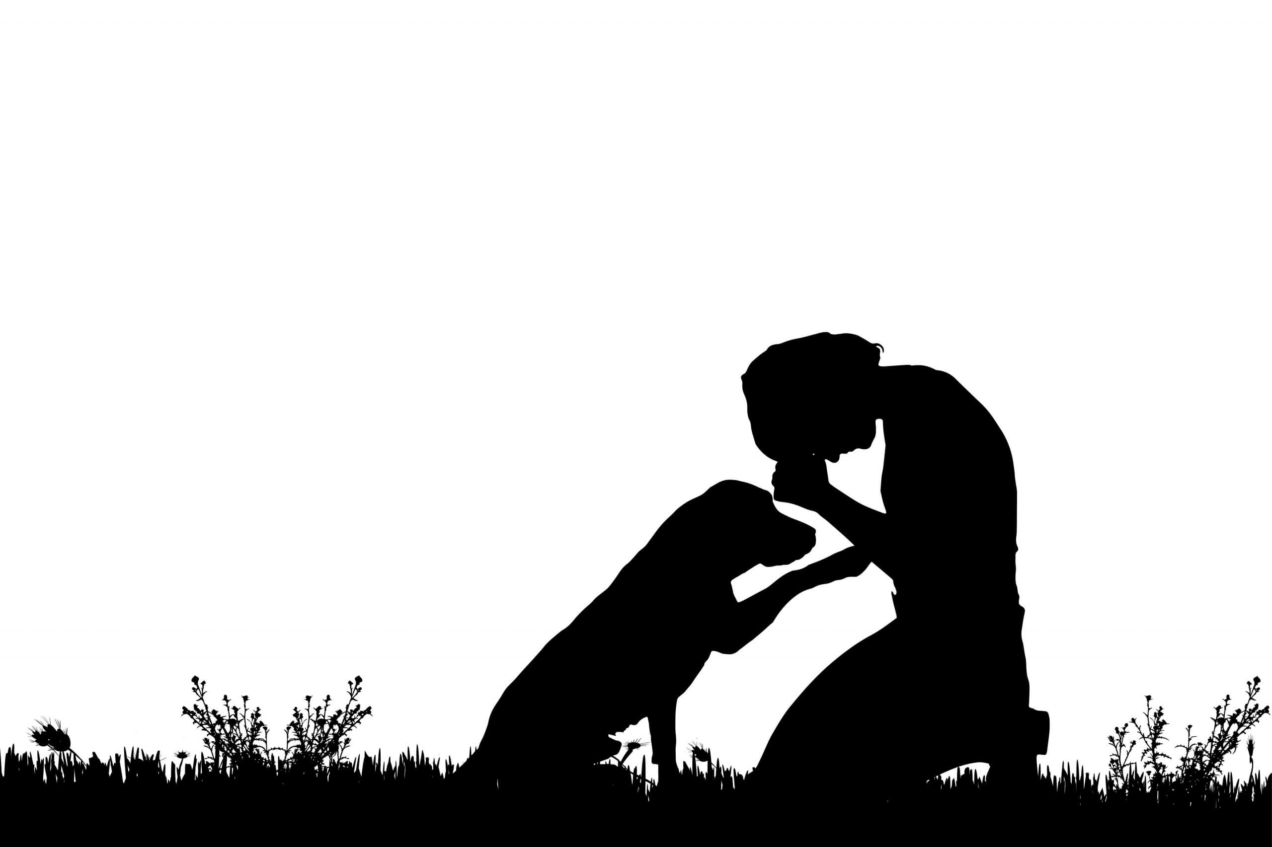 Los perros lloran como los humanos