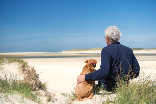 3 condiciones de salud que hay que tener en cuenta en perros mayores