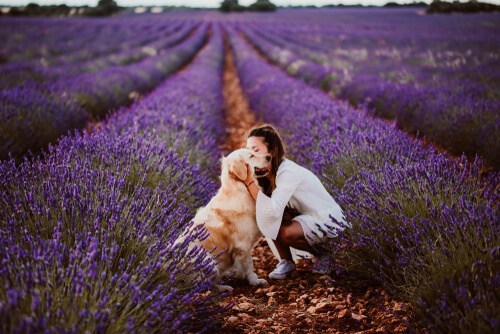 Golden retriever con su dueña en el campo