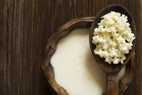 Grano del kéfir