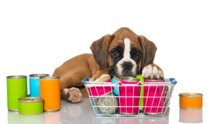 ¿Cómo se prepara la comida enlatada para perros?