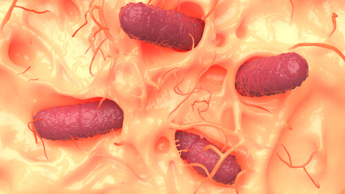 Microorganismos en la pielMicroorganismos en la pielMicroorganismos en la piel.