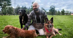 Se puede reeducar a un perro agresivo