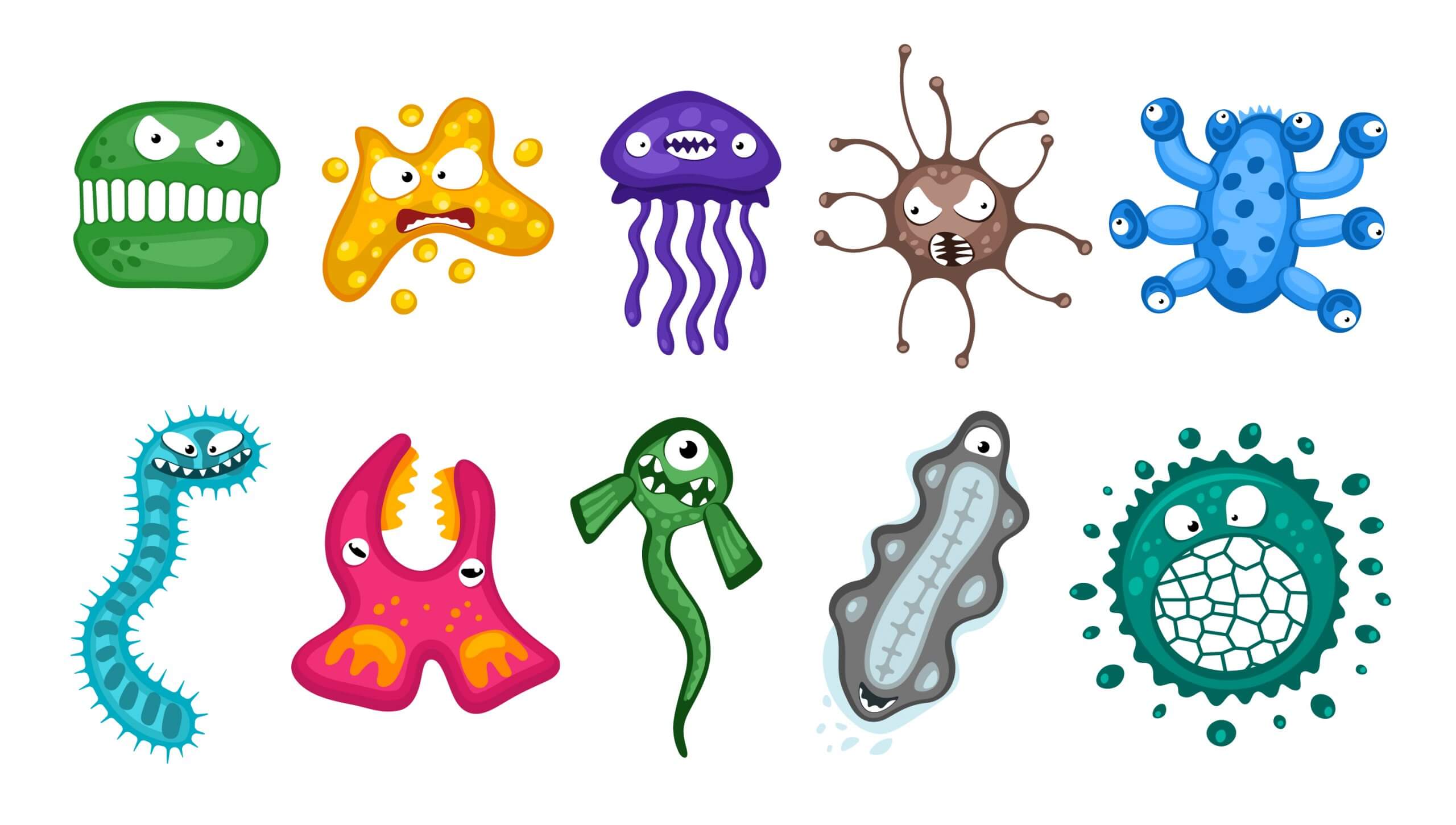 Tipos de microorganismos