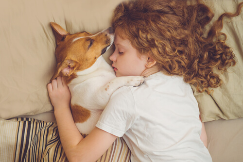 ¿Es recomendable compartir cama con un perro?