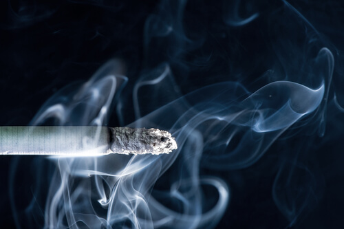 Consecuencias del humo de cigarrillo en los perros