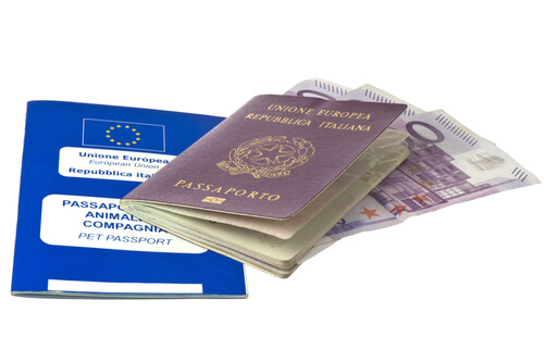 Pasaporte para la identificación de mascotas
