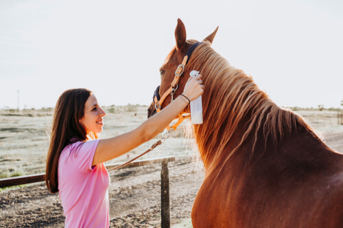 A sarna em cavalos pode ser evitada com uma limpeza adequada.