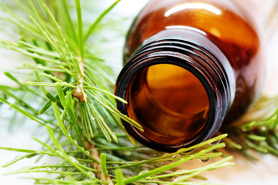 Remédios de ervas para animais de estimação podem fornecer várias propriedades positivas.