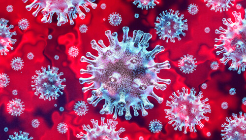 Coronavirus en 3D