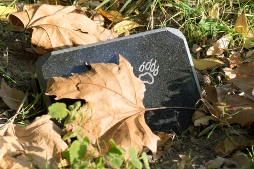 Tomba di un animale domestico.