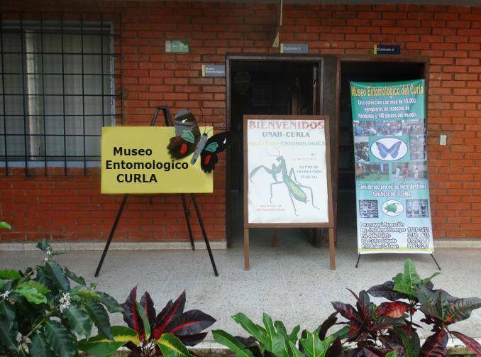 Entrada del Museo entomológico CURLA.