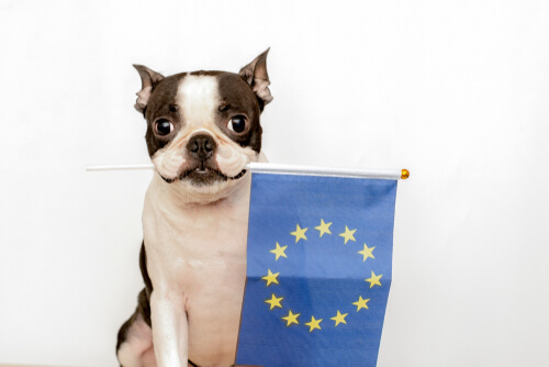Convenio europeo sobre protección de animales de compañía
