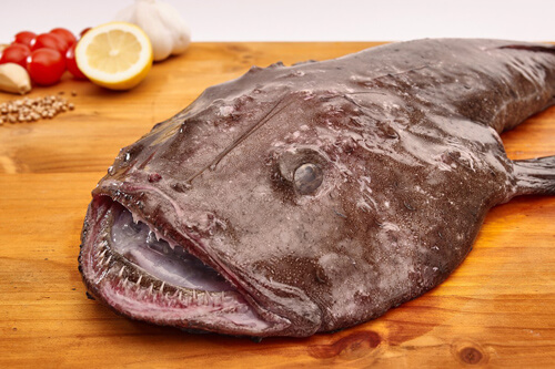 El pez rape común es un monstruo comestible.