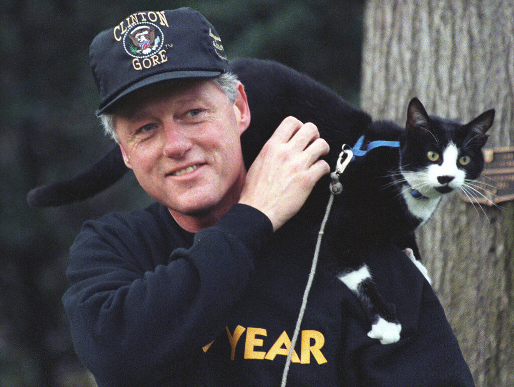 Socks, el famoso gato de Bill Clinton.