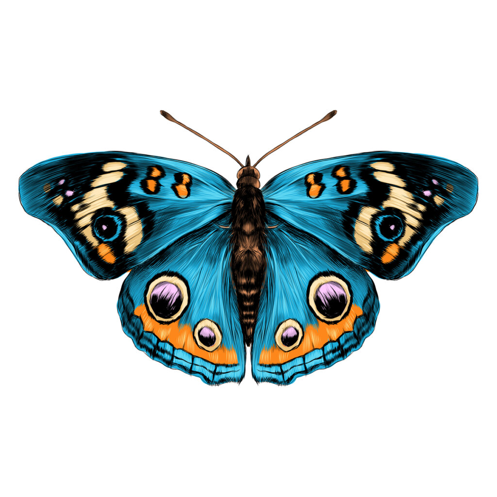 Alas de mariposa: la belleza en escamas