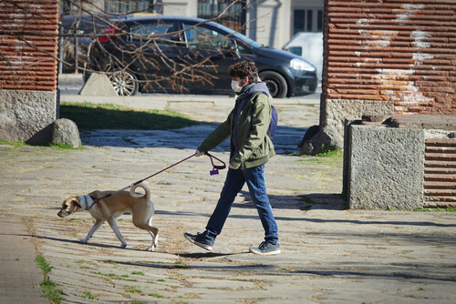 ¿Multas por pasear a los perros en parques en la cuarentena del coronavirus?
