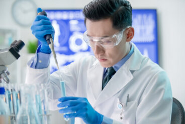 El bacteriófago ϕ29