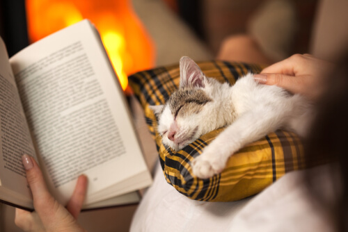 Gatos y grandes escritores