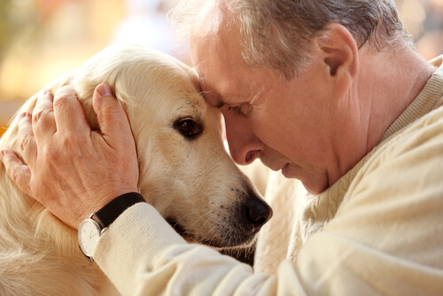 La terapia con animales brinda múltiples beneficios.