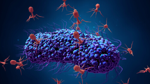 Ilustración de un bacteriófago infectante bacteria.