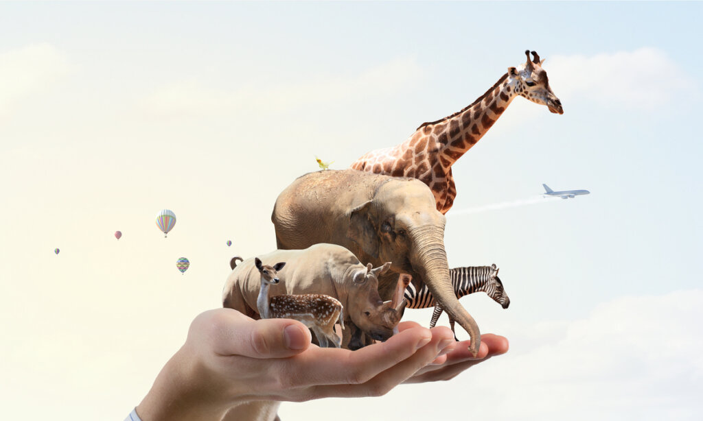 5 acciones que contribuyen a la protección de los animales y el planeta