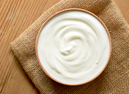 Should you give yogurt to your dog?