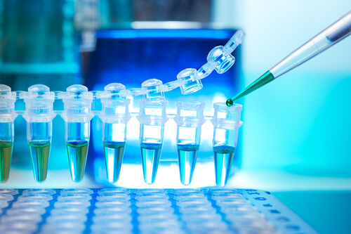 Tubos para la amplificación del ADN por PCR.