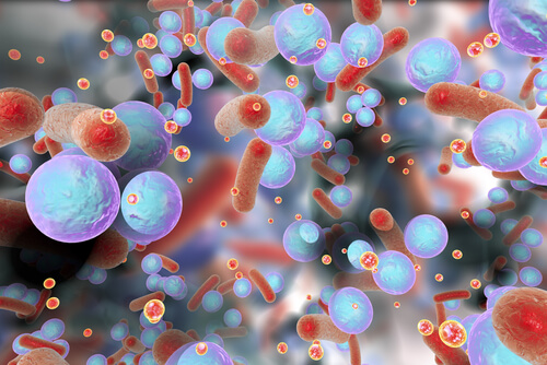 Biofilm de bacterias resistentes a los antibióticos.