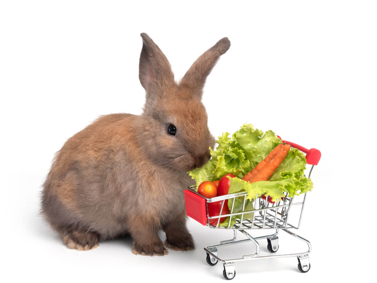 içi sebze dolu bir market arabası ve tavşan