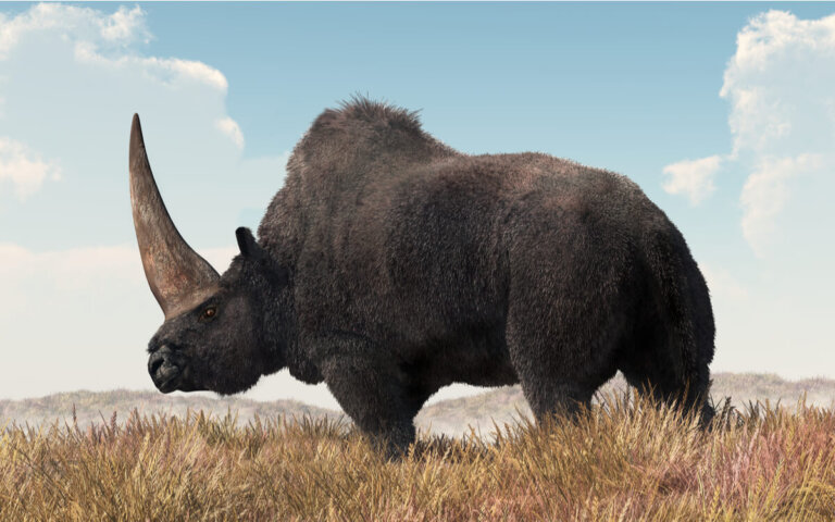 El elasmoterio: ¿pudo ser el unicornio siberiano?
