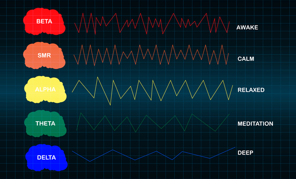 Electroencefalograma con cerebros.