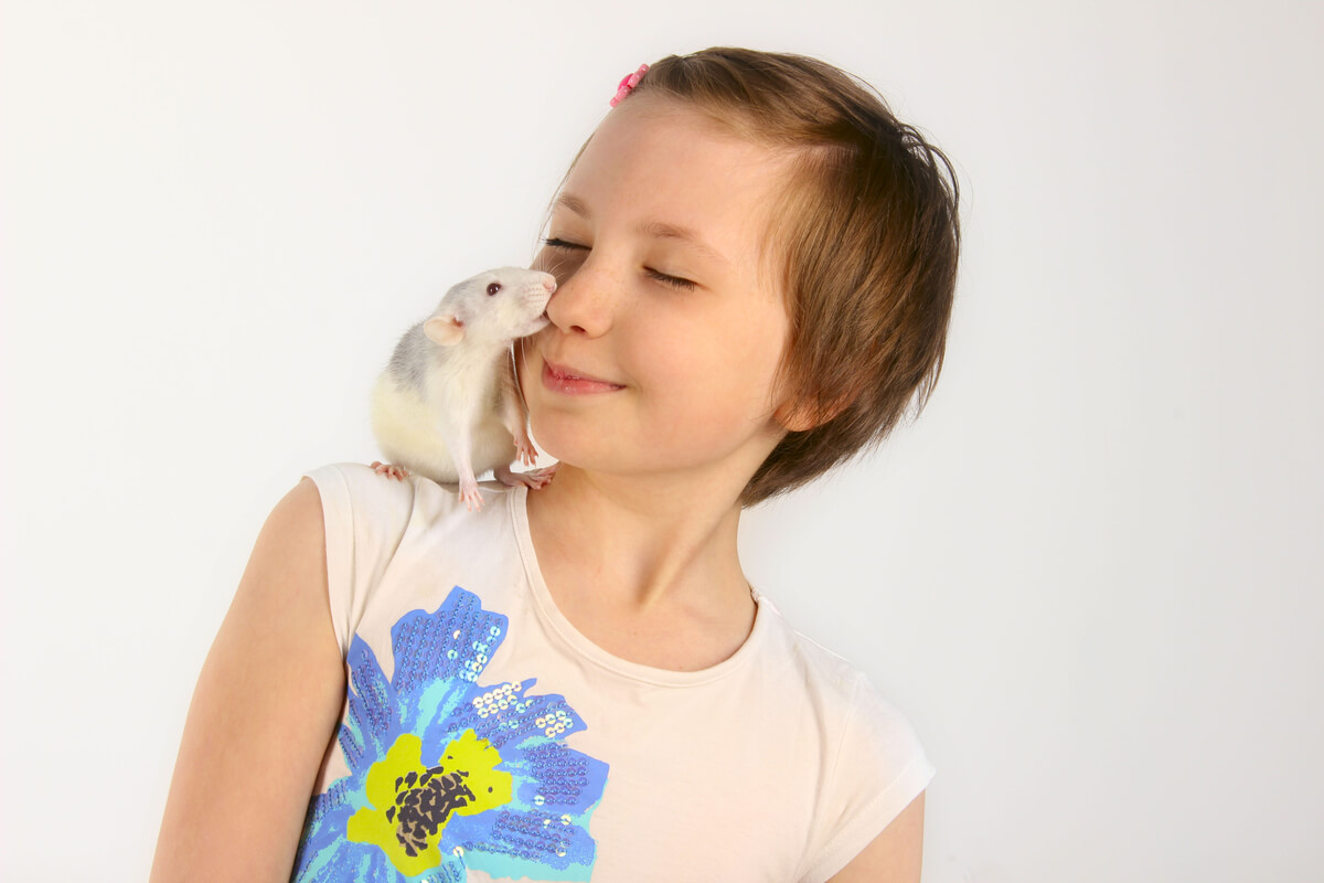 ¿Tienen los animales sentimientos?