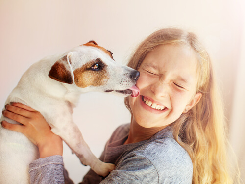 ¿Qué hacer si la mascota está inconsciente?