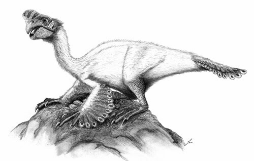 Ilustración de un oviraptor.